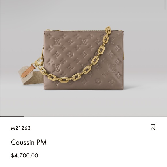 Louis Vuitton - Coussin PM - Taupe - Picture 2 of 12